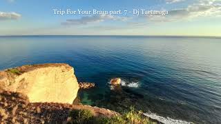 Trip For Your Brain Part. 7 - Dj Tartaruga