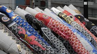 コロナに負けず　こいのぼり悠々と　大阪・堺市