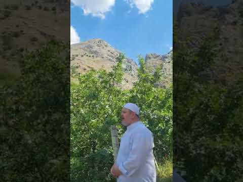 Kainatta Neye Ettimse Nazar ( Mustafa Şahin Özdemir )