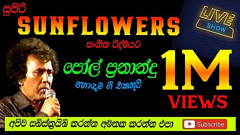 SUNFLOWER WITH PAUL FERNANDO
