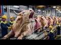 Inside the Billion-Dollar US Factory How Red Brahman Bulls Become First-Class Luxury Airplane Seats