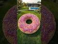 He Turned His Lawn Into a Giant Donut - Wait for the Flowers 🌸  #gardenideas #flowerdesign