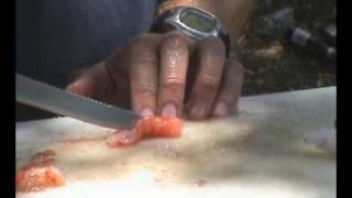 Harold Venter chokka prawn bait.wmv