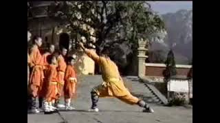 Shaolin Taizu Changquan  / El puño largo del emperador. Tutorial