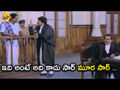 ఇది అంటే అదికాదు సార్ మూర సార్ | Lawyer The Great Movie Scenes | Mammootty | TVNXT Telugu