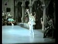 Don Quixote pas de deux  Cynthia Harvey Julio Bocca Susan Jaffe