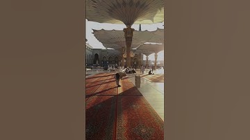 #علي_جابر #القرآن_الكريم #تلاوة_خاشعة #قرآن #قران #القران_الكريم