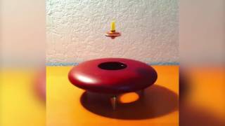 Dünyanın En Rahatlatıcı Videosu