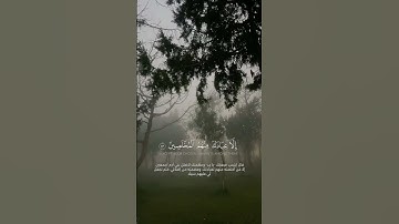 سورة ص الآية (82-85)