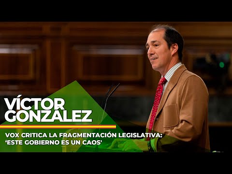 VOX critica la fragmentación legislativa: ‘Este Gobierno es un caos'