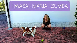 Hwa sa - Maria - Zumba