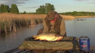 Майский карпфишинг в Генезисе. Яркие лески и золотые крючки.