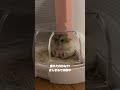 1年生なハムスターが可愛すぎる【ててらぼペット部】