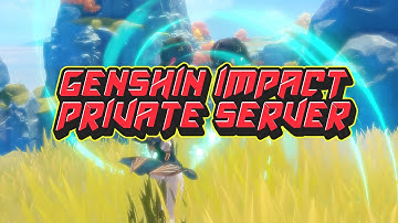 GENSHIN IMPACT PRIVATE SERVER | NEW COMMAND