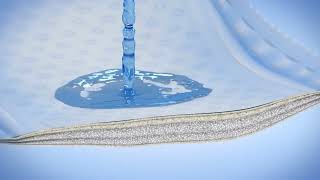 Attends Soft Product Demonstration - incontinence pads