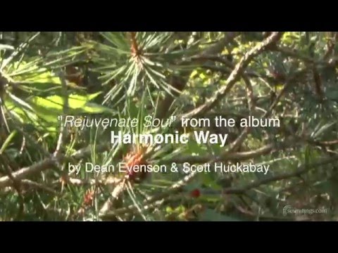 "Rejuvenate Soul" is from the album Harmonic Way, by Dean Evenson and Scott Huckabay!