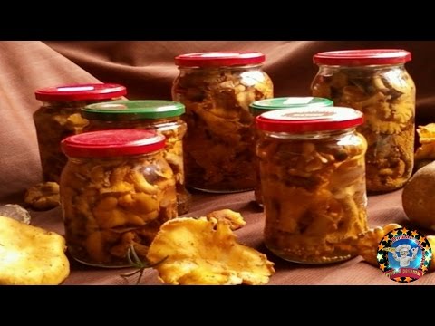 Маринованные Лисички на Зиму. Очень Вкусно !