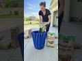 DIY Cement Cactus Planter Setup 🌵 | Modern Handmade Pot Makeover #shorts