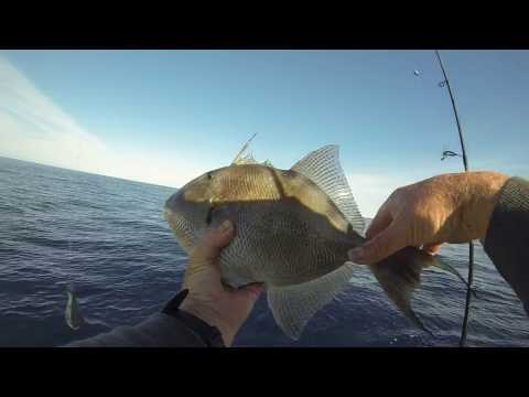 Catching TriggerFish--WrapFishingSystem