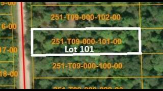 16253 Timberline Drive LOT 101, Wolverine, MI - 201839355 16253 Timberline Drive LOT 101, Wolverine, MI - 201839355