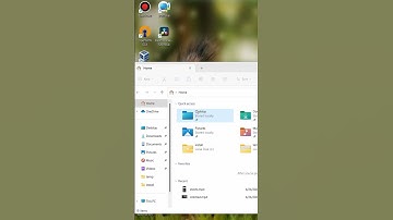 clear file explorer history