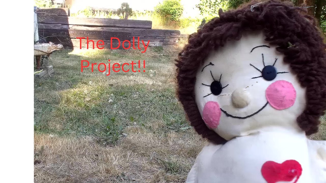 The Dolly Project! YouTube