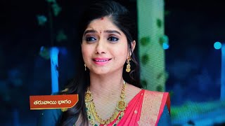 Download Lagu Ninnu Kori serial today latest promo  MP3