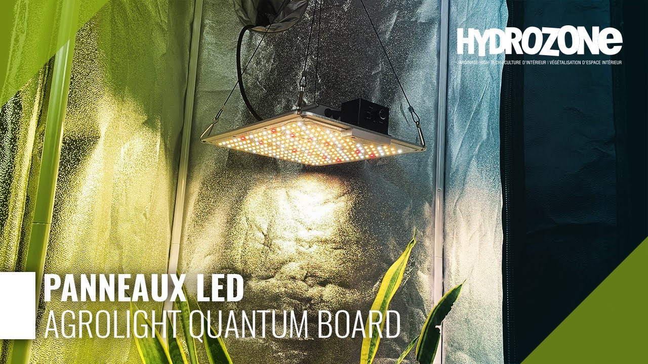 LED horticole: panneau Quantum BOARD 120W avec variateur