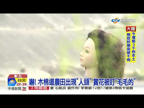 嚇! 木棉道農田出現"人頭" 賞花被盯"毛毛的"│中視新聞 2020316