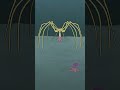 Giant Sea Spider #shorts
