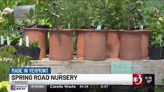 Made in Vermont: Vt. nursery grows unusual perennials and crafts terracotta planters on site