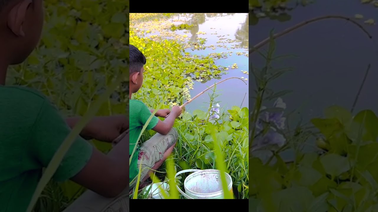 Wow smart little boy catching fishing fish with small bamboo rod 