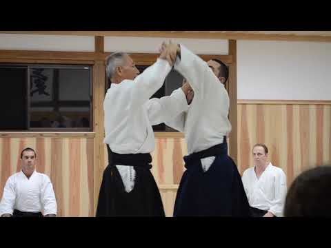 Inagaki Sensei explains Techniques (Iwama/Japan, 2011)