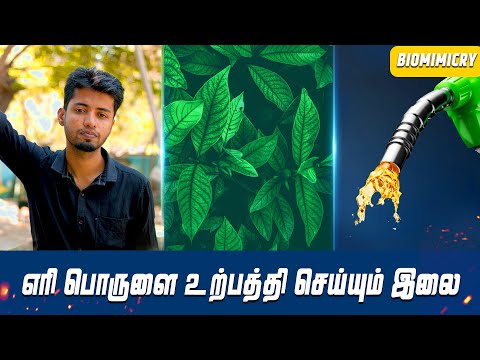 எரி பொருளை உற்பத்தி செய்யும் இலை | Biomimicry | LMES