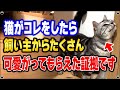 飼い主からたくさん可愛がってもらった猫だけが見せる仕草 "6選"