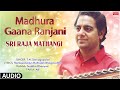 Carnatic classical vocal  madhura gaana ranjani  sri raja mathangi  by tn seshagopalan