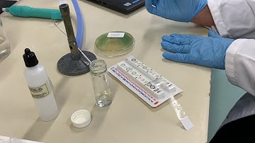 Virtual Non-enteric Gram negative Bacteria/Video 3 - Microbes in the Environment BIO30005/BIO60001