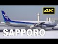 [4K] 112 Jets and Props - Winter Plane Spotting at Sapporo New Chitose Airport [CTS/RJCC] / 新千歳空港