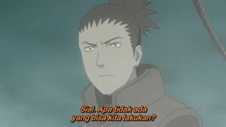 Naruto Shippuden Episode 231 Bahasa Indonesia