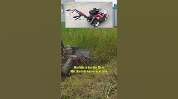 Máy băm cỏ trục băm 50cm, lh 0963303534  #farming #maybamco #maybamcovoi