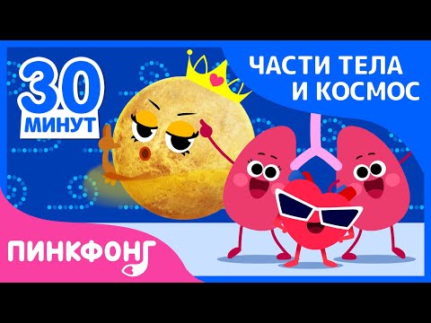 Учиться Вместе | Песни Про Части Тела И Космос | Сборник | Пинкфонг Песни Для Детей