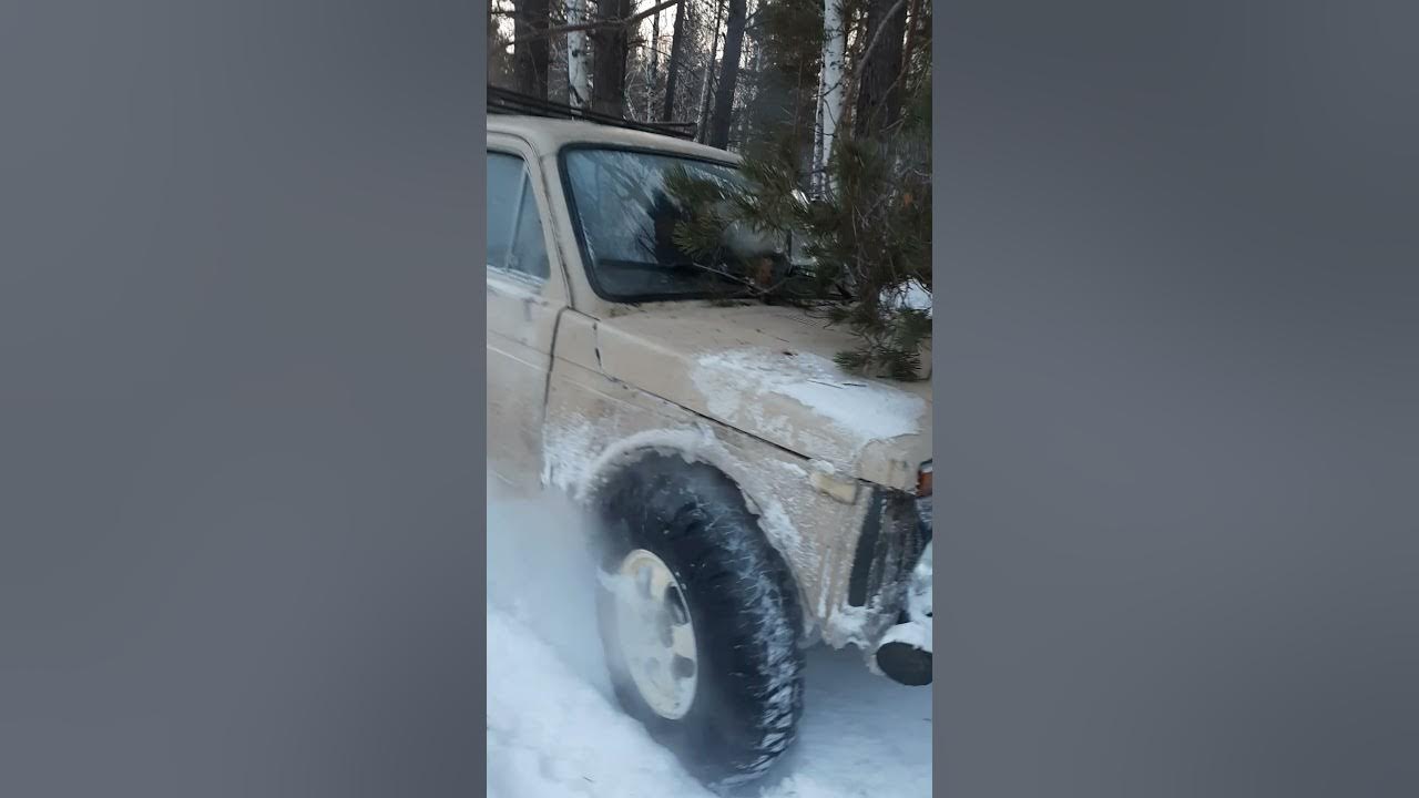 Нива в снегу цвет сафари