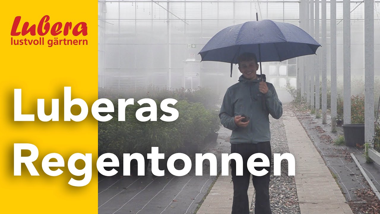 Regenwasser sammeln: Wie gross sind die Regenwassertanks von Lubera?