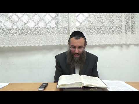 מתי ולמה עלו פרקין אמצעים דנה''י דעתיק  | שער ז"א פרק ב חלק 2 | הרב סיבוני | אוצ"ח המבואר 208