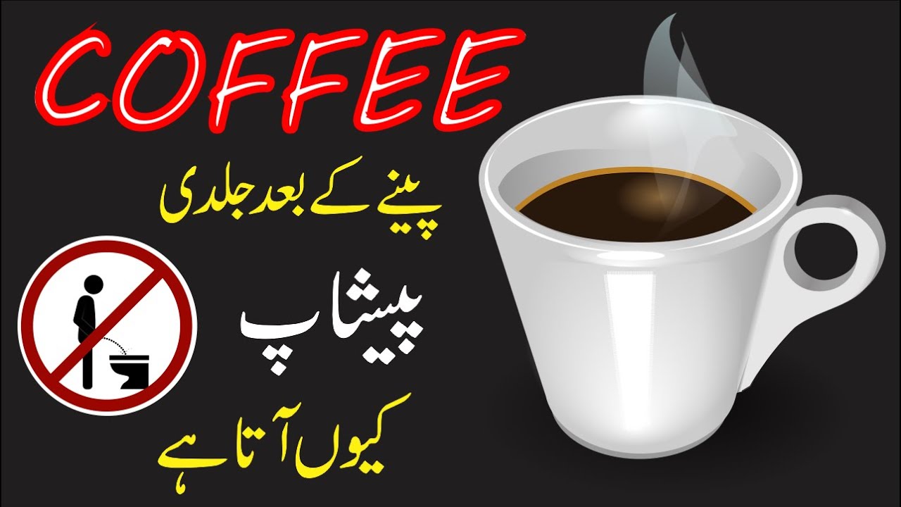 Coffee Peene Ke Baad Kya Hota Hai Coffee Vs Pee In Urdu And Hindi