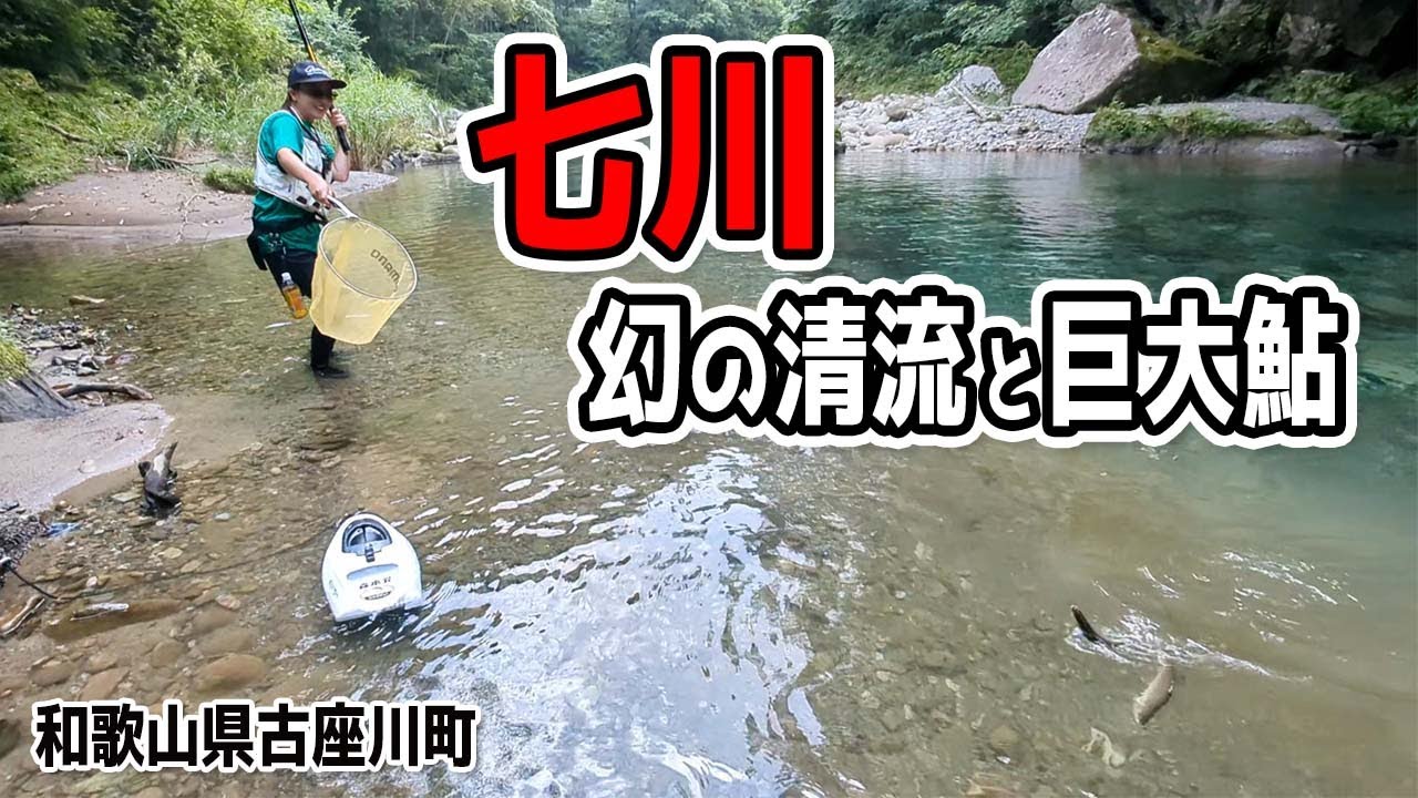 和歌山随一の清流！古座川町七川で巨大鮎を釣ってきました（和歌山県古座川町・鮎の友釣り）