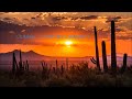 BELLAMY BROTHERS & FREDDY FENDER - "Staying In Love & Vertical Expression"