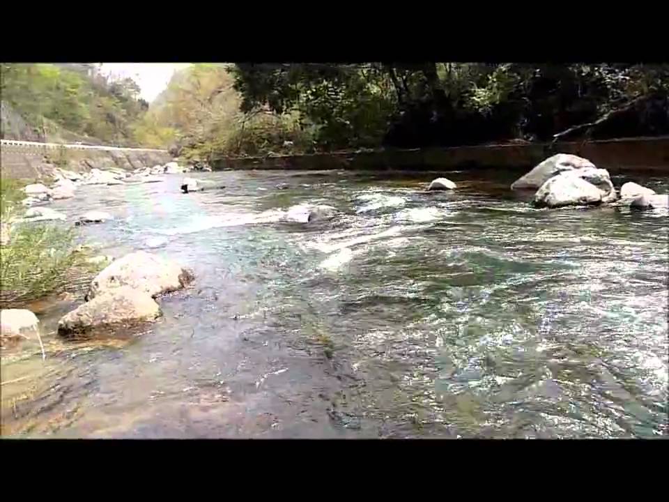 きれいな川 Youtube きれいな川 Youtube