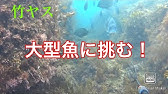 コスパ最強のチョッキ銛で魚を突く 1500円で簡単に作れるチョッキ銛がついに完成 500円モリの魔改造 Youtube