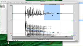 PRAAT 22  Pitch and amplitude